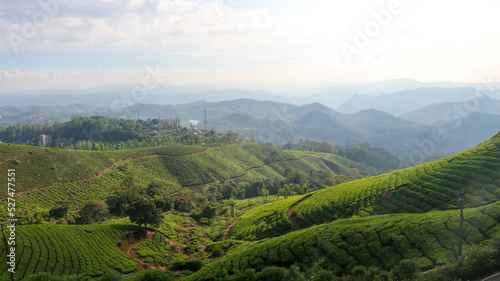 Amazing View of Tea Garden from Kannan Devan Hills, Munnar, Kerala, India photo