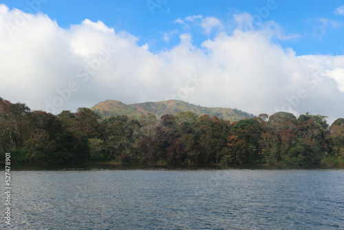 Amazing View with Forest, Mountain and Lake at Periyar Tiger Reserve, Thekkady, Kerala, India