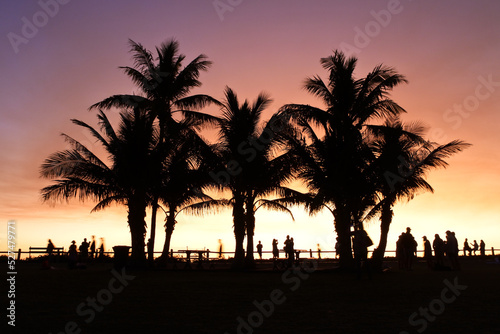 Silhouette of tropical palm trees and people walking along a waterfront walkway