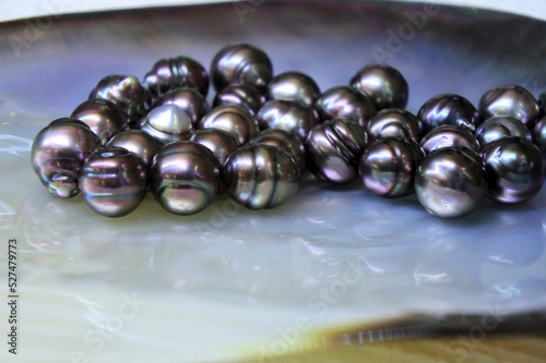 Large group of Tahitian Black Pearls photo
