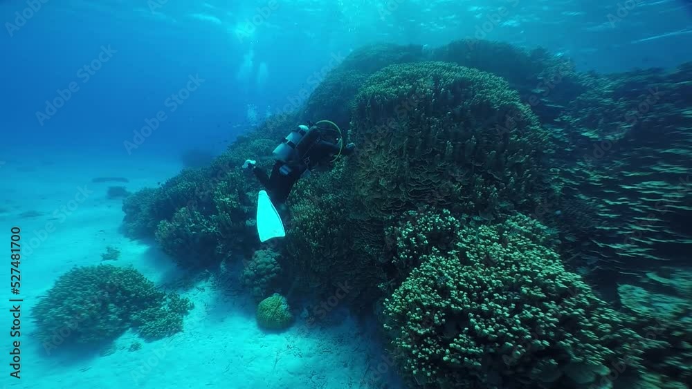 Scuba diving on the reefs of Majuro,Marshall islands. Scuba diving on the reefs of Majuro,Marshall islands.