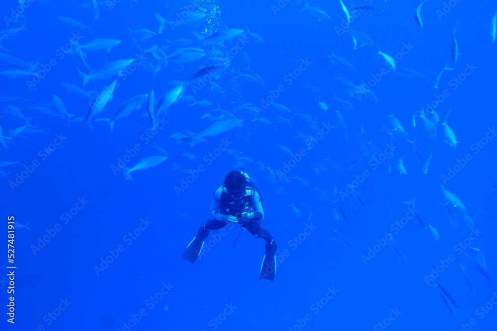 Scuba diving on the reefs of Majuro,Marshall islands. Scuba diving on the reefs of Majuro,Marshall islands.