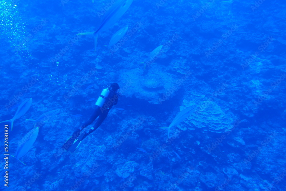Fototapeta premium Scuba diving on the reefs of Majuro,Marshall islands.