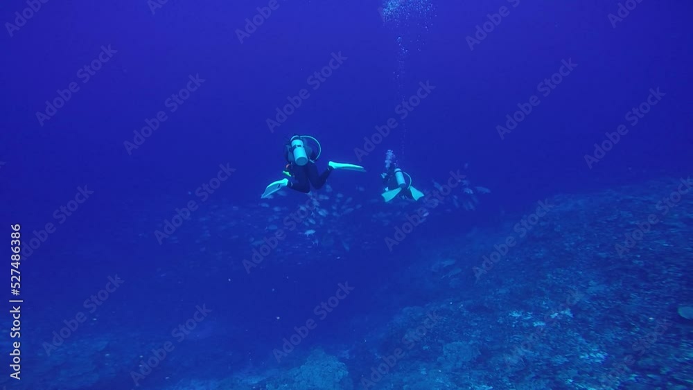 Scuba diving on the reefs of Kosrae, Micronesia（Federated States of Micronesia）