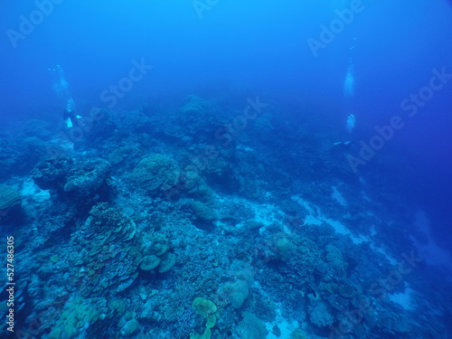 Scuba diving on the reefs of Kosrae  Micronesia   Federated States of Micronesia   