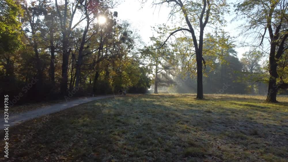 Mother and child walking in the autumn park on sunny morning. Father and child walk along dirt path in the fall park in the early morning. People walking along the path in the park. Aerial drone view Mother and child walking in the autumn park on sunny morning. Father and child walk along dirt path in the fall park in the early morning. People walking along the path in the park. Aerial drone view