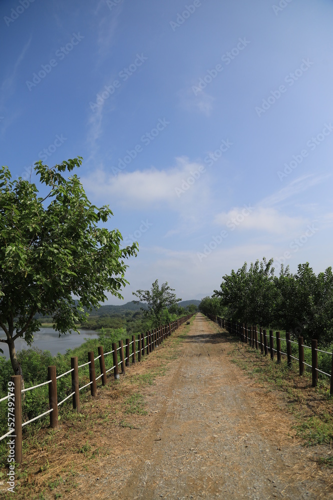 wetland site in korea wetland site in korea