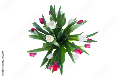 Red tulip and white tulip vase on white background
