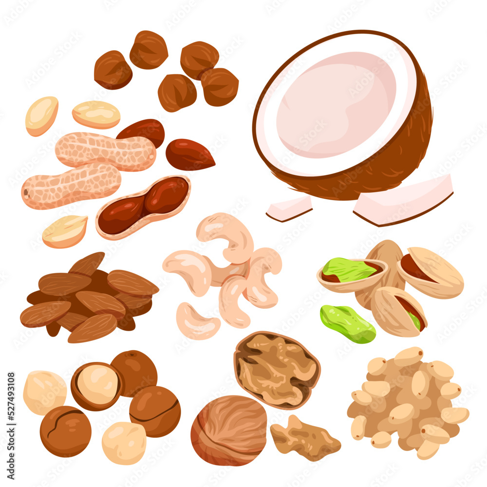Nut seeds with shells set vector illustration. Cartoon isolated organic dry nutty food mix, natural snack collection with healthy coconut almond walnut hazelnut cashew pecan chestnut for eating Nut seeds with shells set vector illustration. Cartoon isolated organic dry nutty food mix, natural snack collection with healthy coconut almond walnut hazelnut cashew pecan chestnut for eating