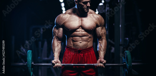 Muscular man bodybuilder training in gym and posing. Fit muscle guy workout with weights and barbell