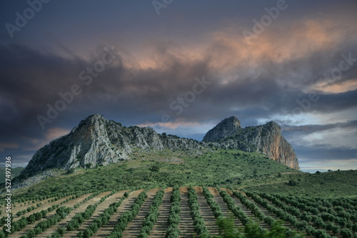 Storm approaching olive grove with towering mountains