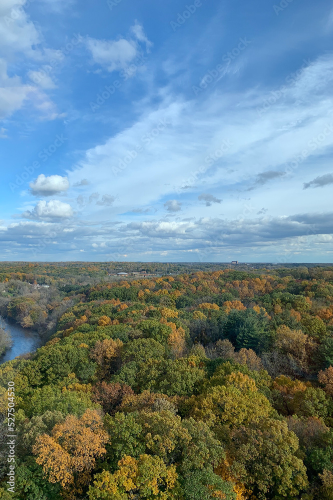 Ann Arbor autumn forest views