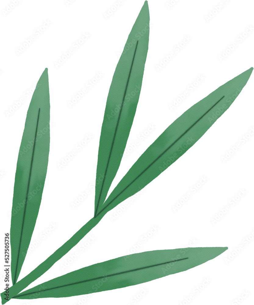 watercolour green leaf