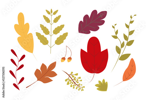 Autumn leaf collection. Vector flat nature. Autumn art print. Posters for the autumn holiday.