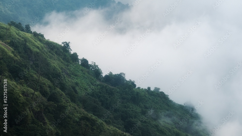 fog in the mountains