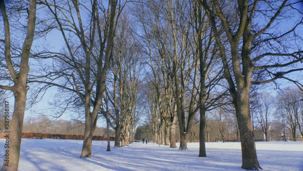 Frogner park in Oslo, Norway, wide tree lane with pedestrians Frogner park in Oslo, Norway, wide tree lane with pedestrians