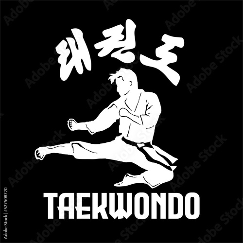 taekwondo design vector illustration, Creative logo design concepts template, icon symbol