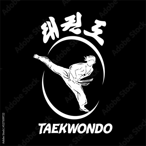 taekwondo design vector illustration, Creative logo design concepts template, icon symbol