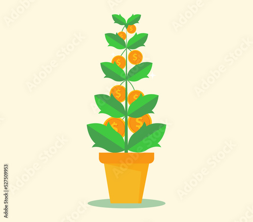 Money tree