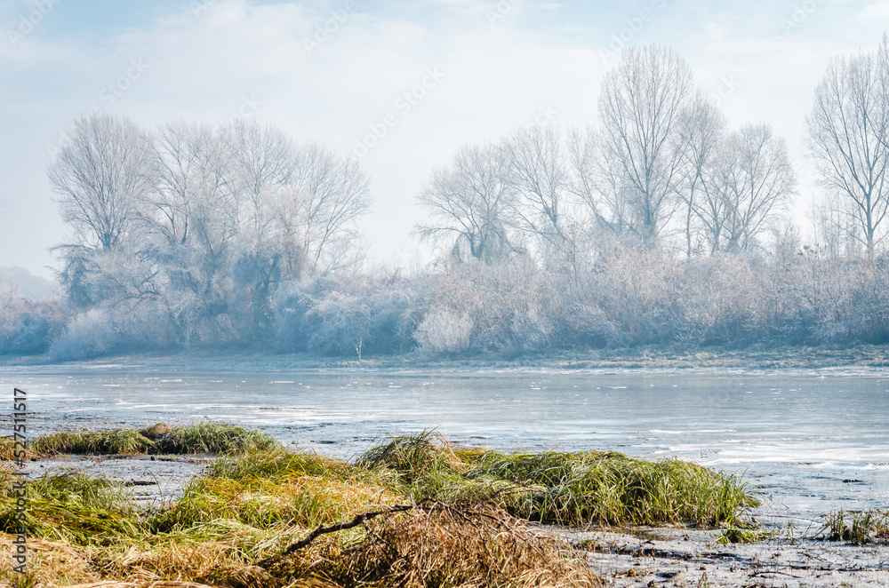 Danube Island Sodros near Novi Sad, Serbia. Gray and white landscape with frozen water. Danube Island Sodros near Novi Sad, Serbia. Gray and white landscape with frozen water.