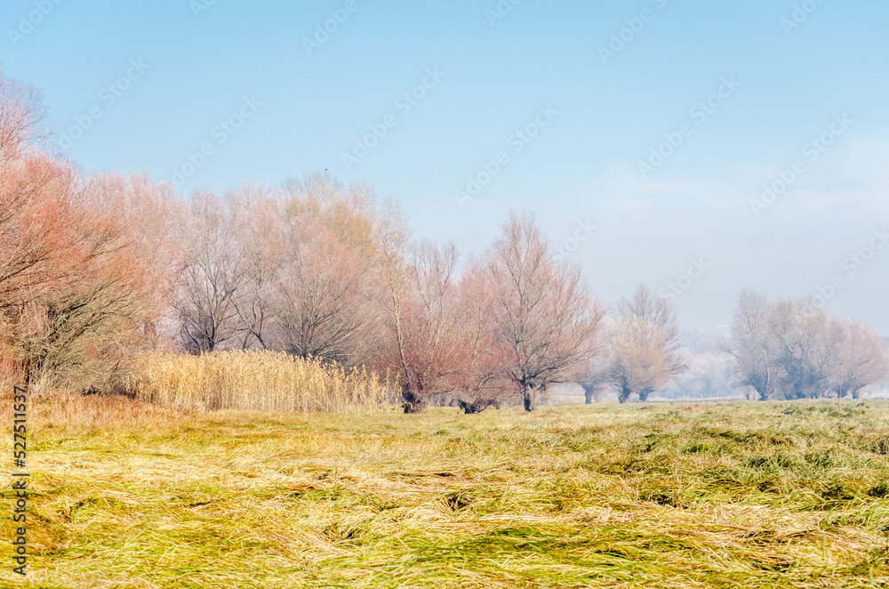 Danube Island Sodros near Novi Sad, Serbia. Gray and white landscape with frozen water.