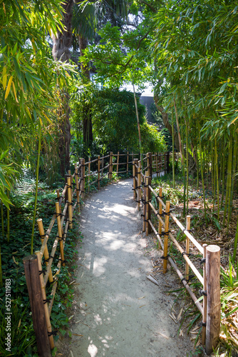 Bamboo path in a japanese garden