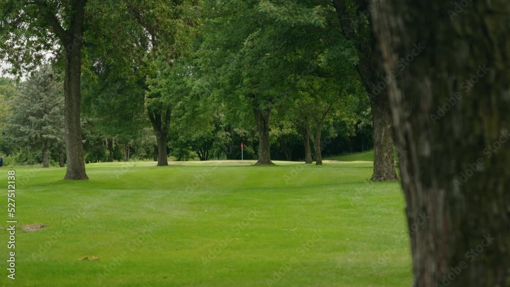a golf flag peaking through the trees on a golf course a golf flag peaking through the trees on a golf course