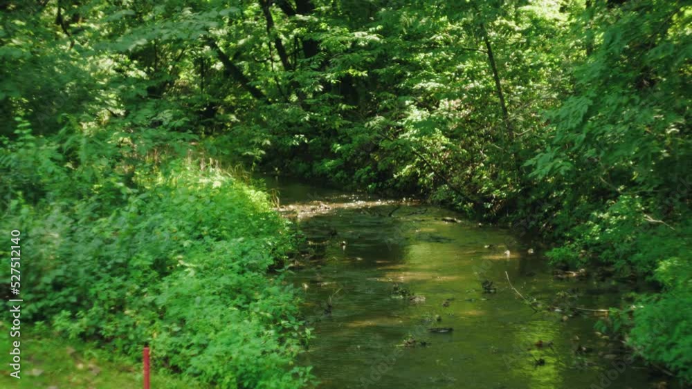 small stream with sunlight peaking through the trees and hitting the water small stream with sunlight peaking through the trees and hitting the water