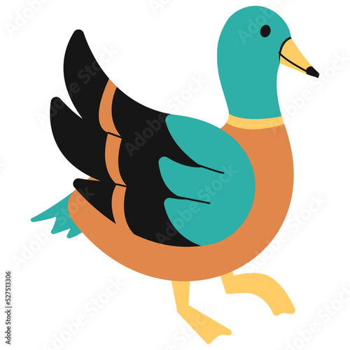 Male Duck 3D Icon