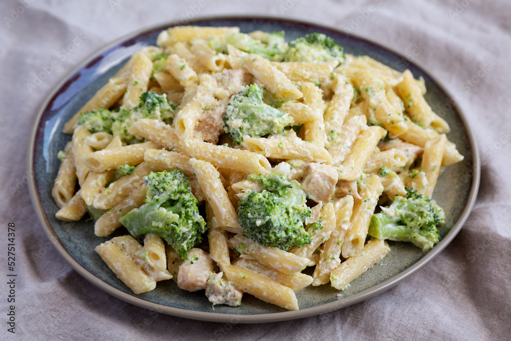 Homemade Penne Alfredo Pasta with Chicken and Broccoli on a Plate, side view. Close-up. Homemade Penne Alfredo Pasta with Chicken and Broccoli on a Plate, side view. Close-up.