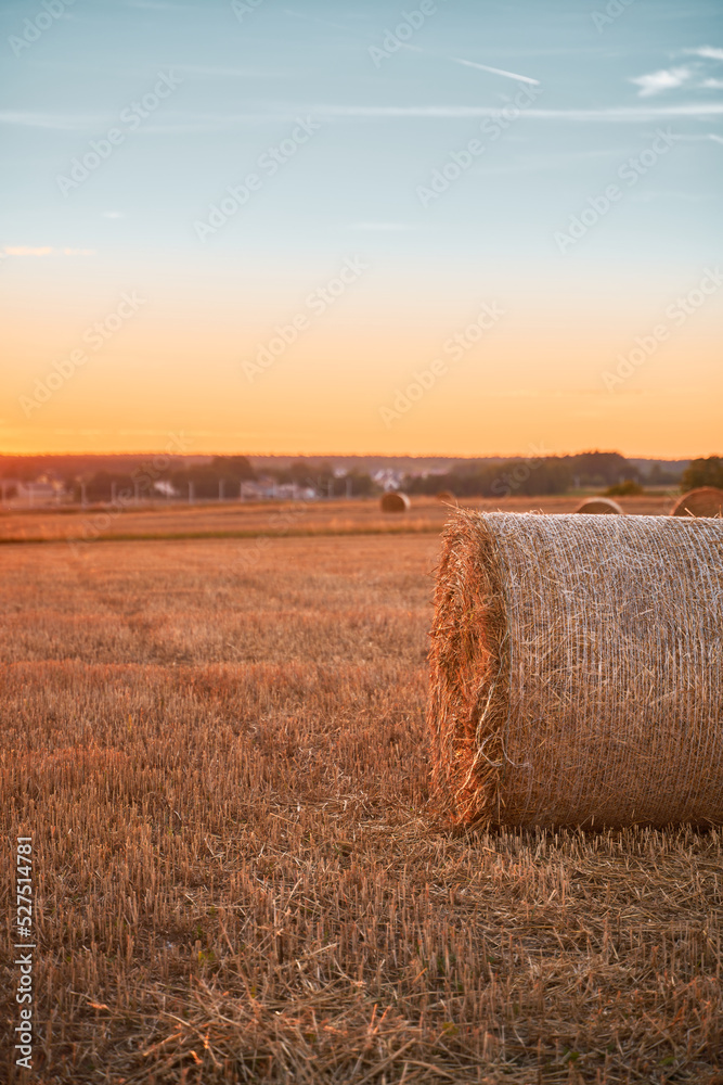 Hay bale close up on the summer evening. Rural sunset on the harvested field.