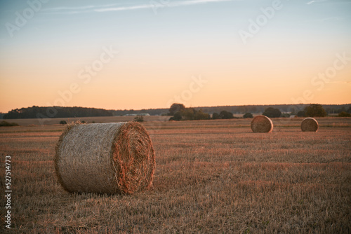 Circle hay bales bales in the sunset