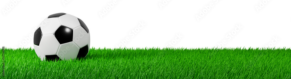 Obraz premium 3D render Soccer ball on spring grass field banner illustration. PNG file