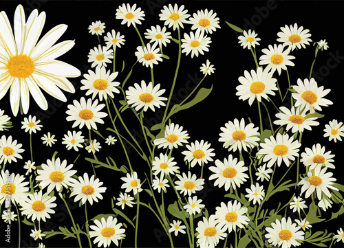 A beautiful illustration of a daisy on a black background. The colors are rich and vibrant, and the daisy itself are intricately detailed. A perfect image to use for a springtime or nature project