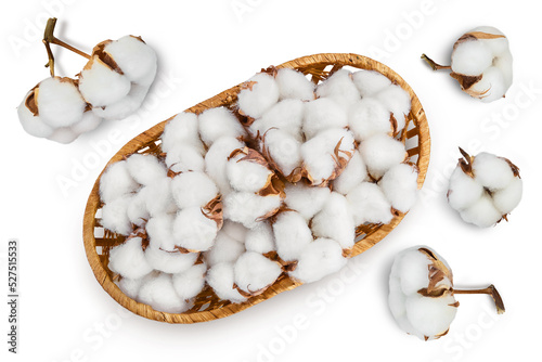 Cotton plant flower in a wicker basket isolated on white background full depth of field. Top view. Flat lay