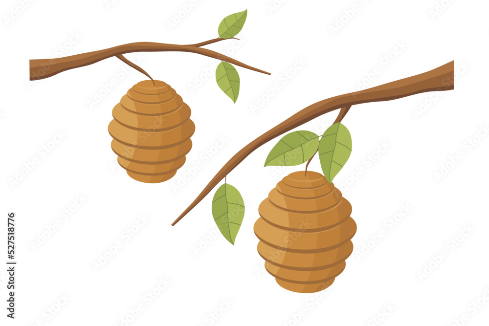 Beehive Illustration