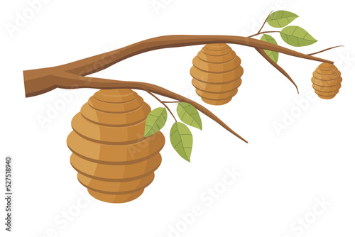 Vector illustration of a beehive. Illustration of a beehive on a tree branch