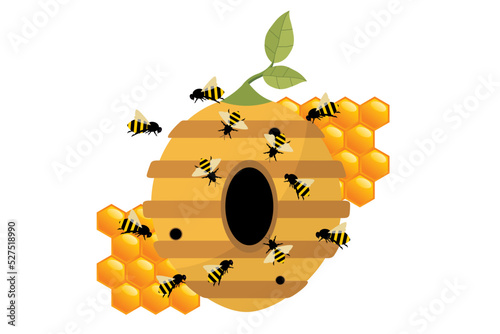 Vector illustration of a beehive. Illustration of a beehive on a tree branch. A swarm of bees perched on the hive