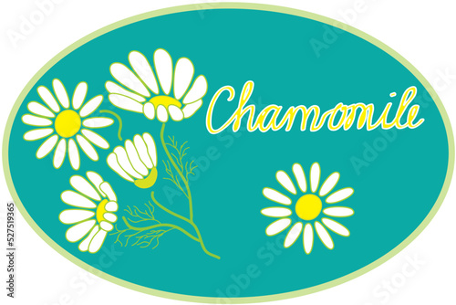 Oval label with medical herbs of chamomile. Inscription . Branch with leafs , flowers