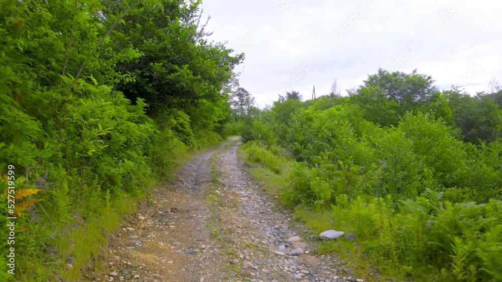 The camera moves along a tropical mountain road The camera moves along a tropical mountain road