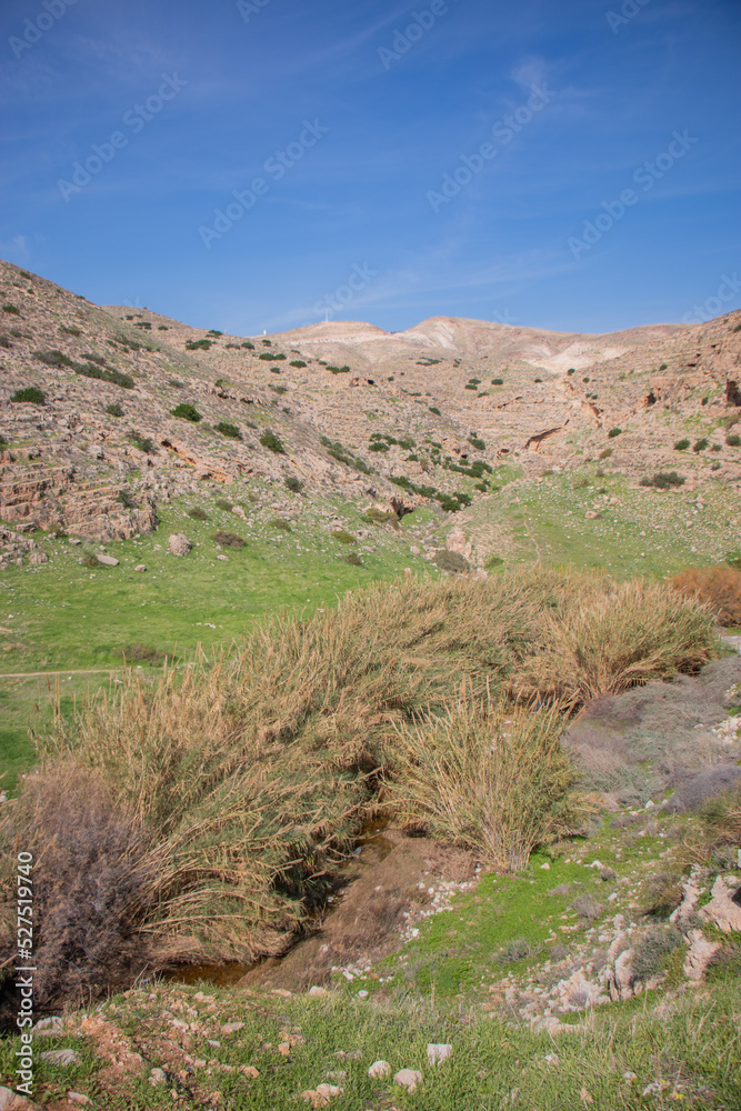 Mountains and nature of Jericho, Palestine