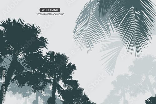 tropical forest background