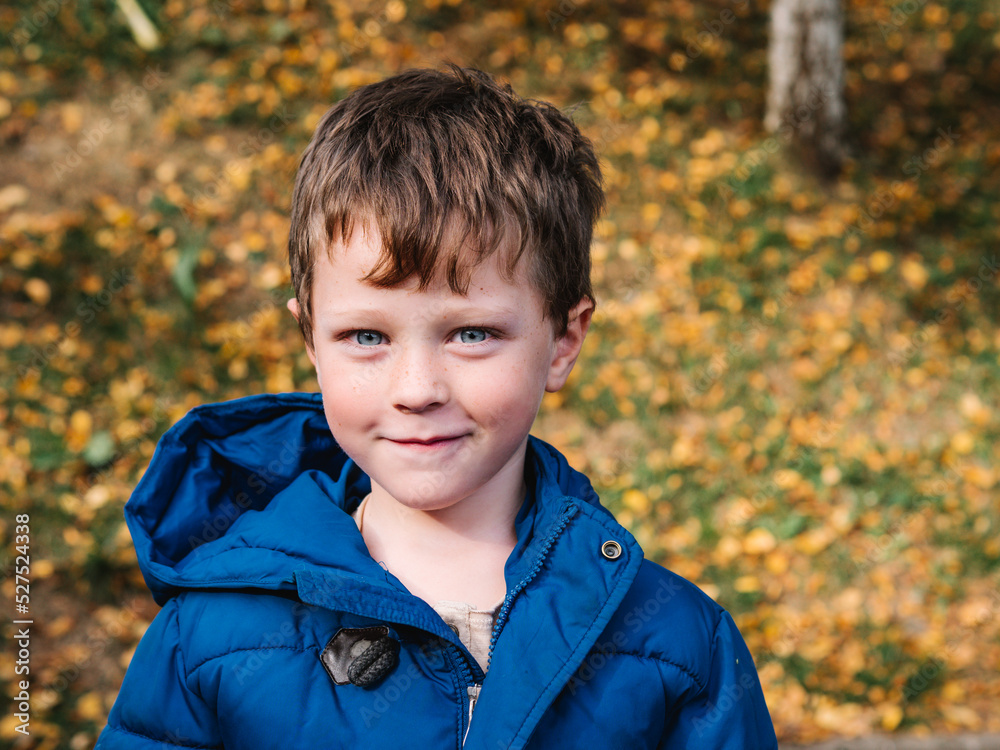 portrait of an adorable little boy looking at the camera in autumn portrait of an adorable little boy looking at the camera in autumn