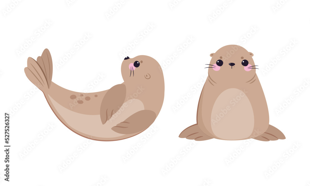 Funny Seal with Cute Snout Having Beige Fur and Fins Vector Set