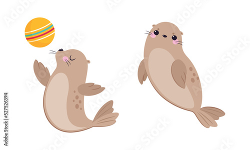 Funny Seal with Cute Snout Having Beige Fur and Fins Floating and Playing Ball Vector Set