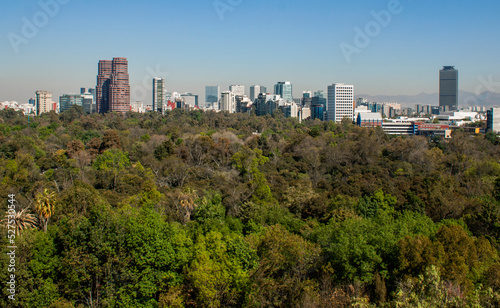 Panoramic view of Mexico City. Lush green forest trees and downtown district skyline, huge skyscrapers, and glass towers in the city center of the Central American capital, CDMX, México.