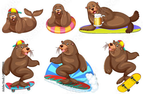 Set of different sea lions cartoon characters