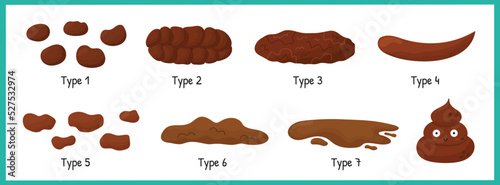 Bristol stool set with different types of poo. Human feces collection from constipation to diarrhea. Vector illustration photo