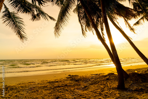 sea beach with coconut palm tree at sunset time