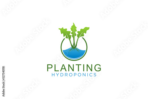 Hydroponic plant logo design organic farming water gardening icon symbol 